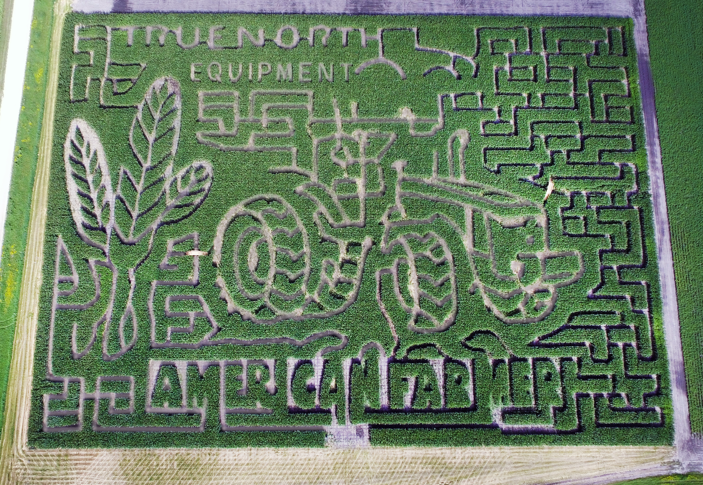2015 Valley Corn Maize aerial shot