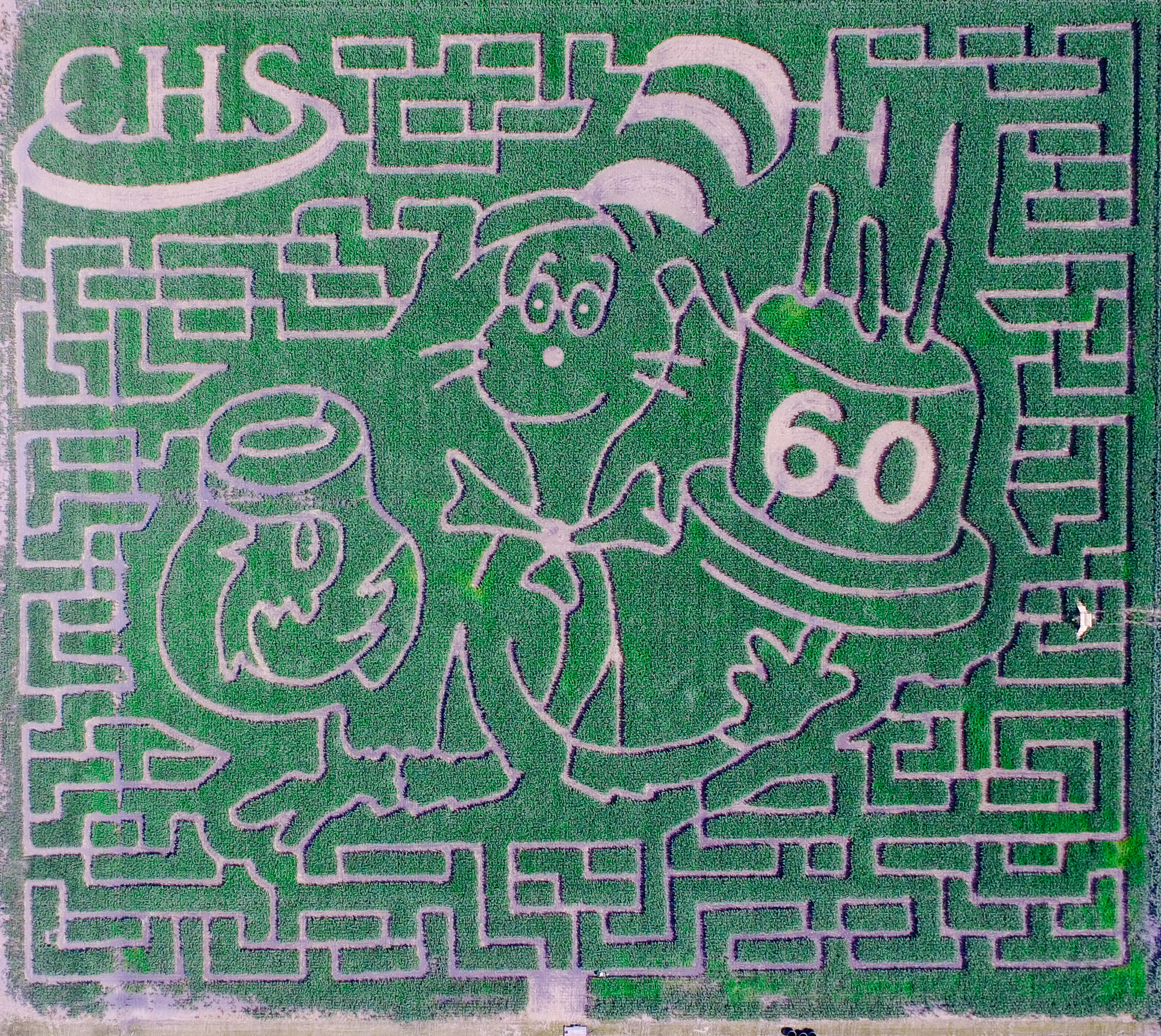 2017 Valley Corn Maize aerial shot