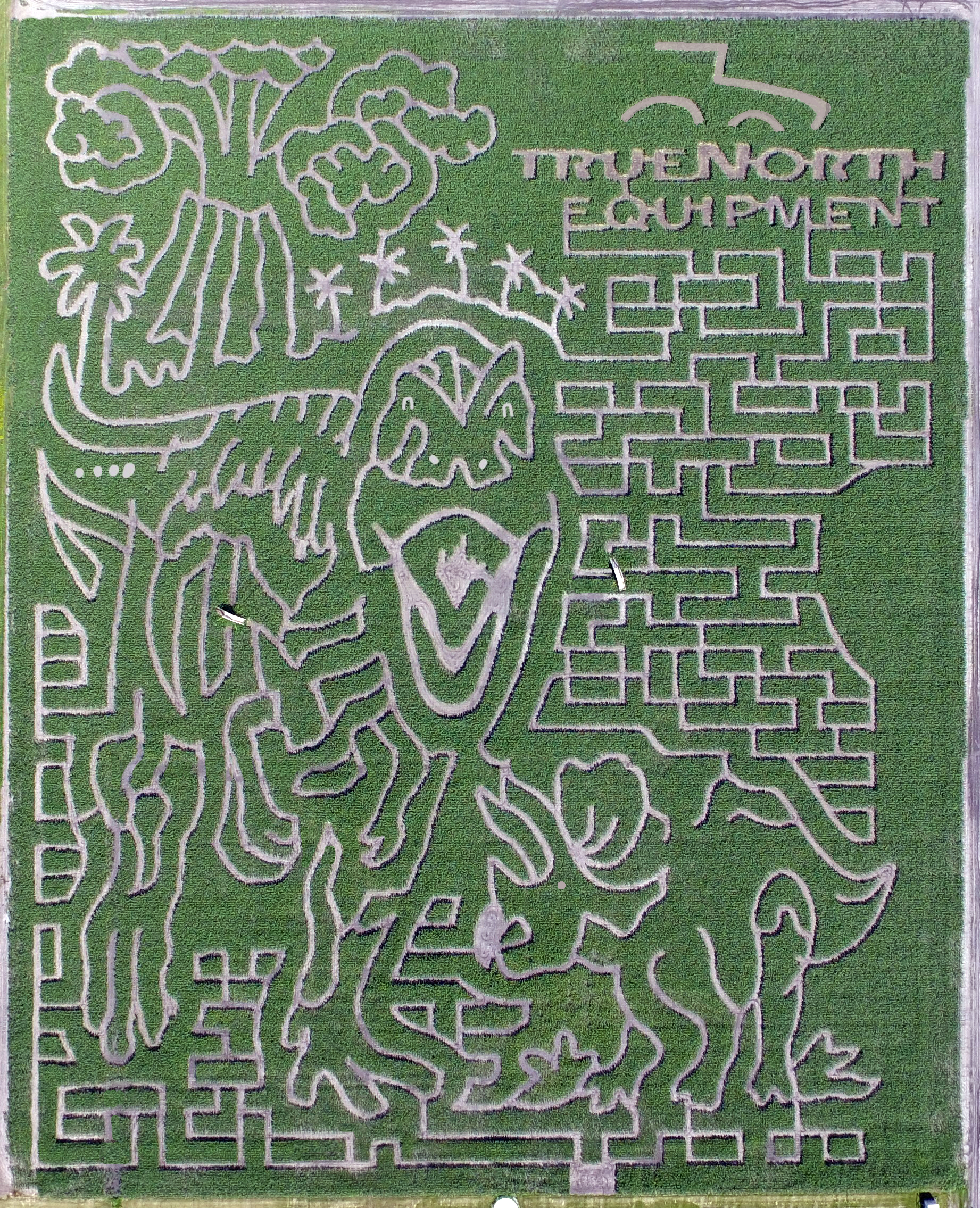 2019 Valley Corn Maize aerial shot