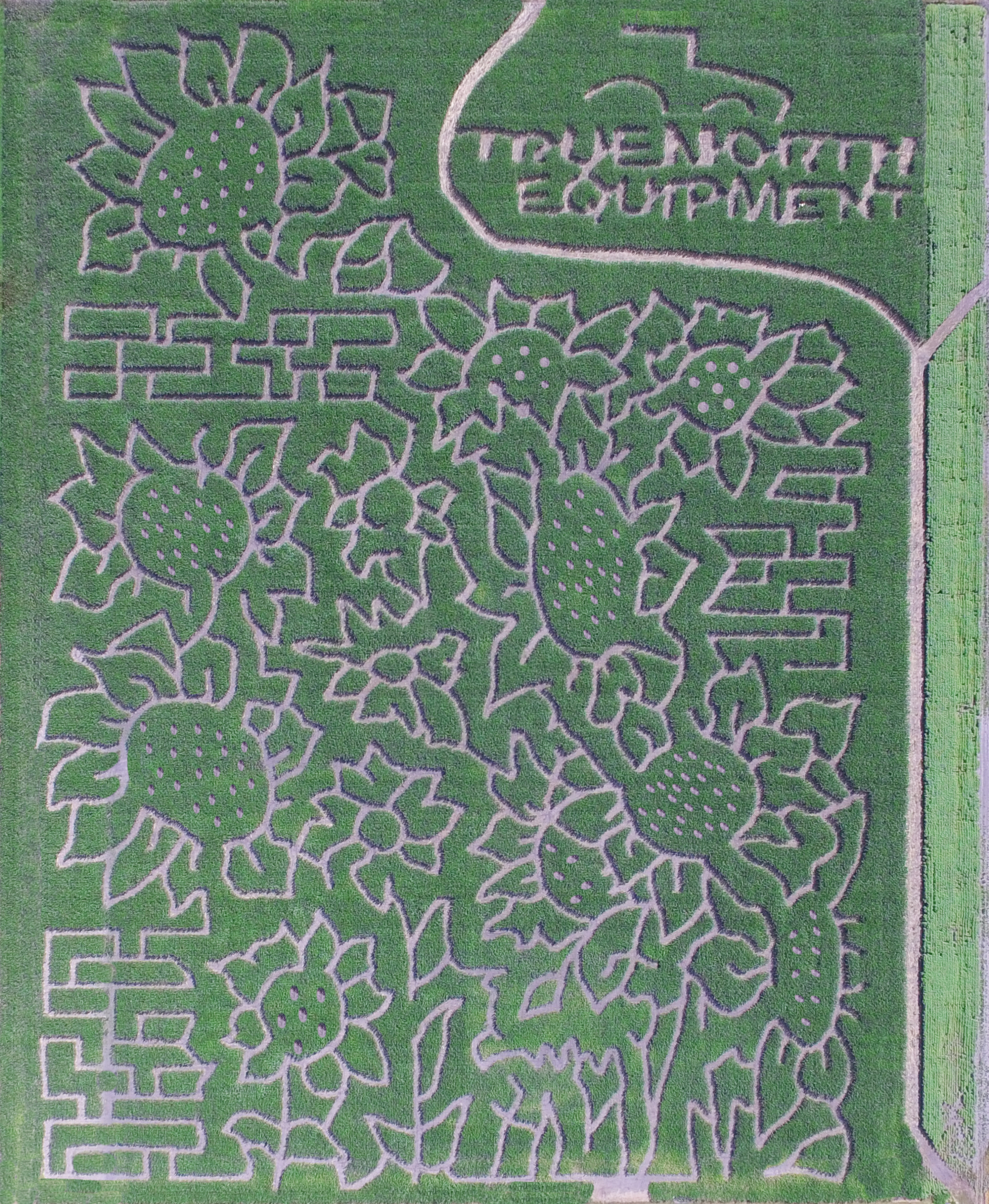 2020 Valley Corn Maize aerial shot