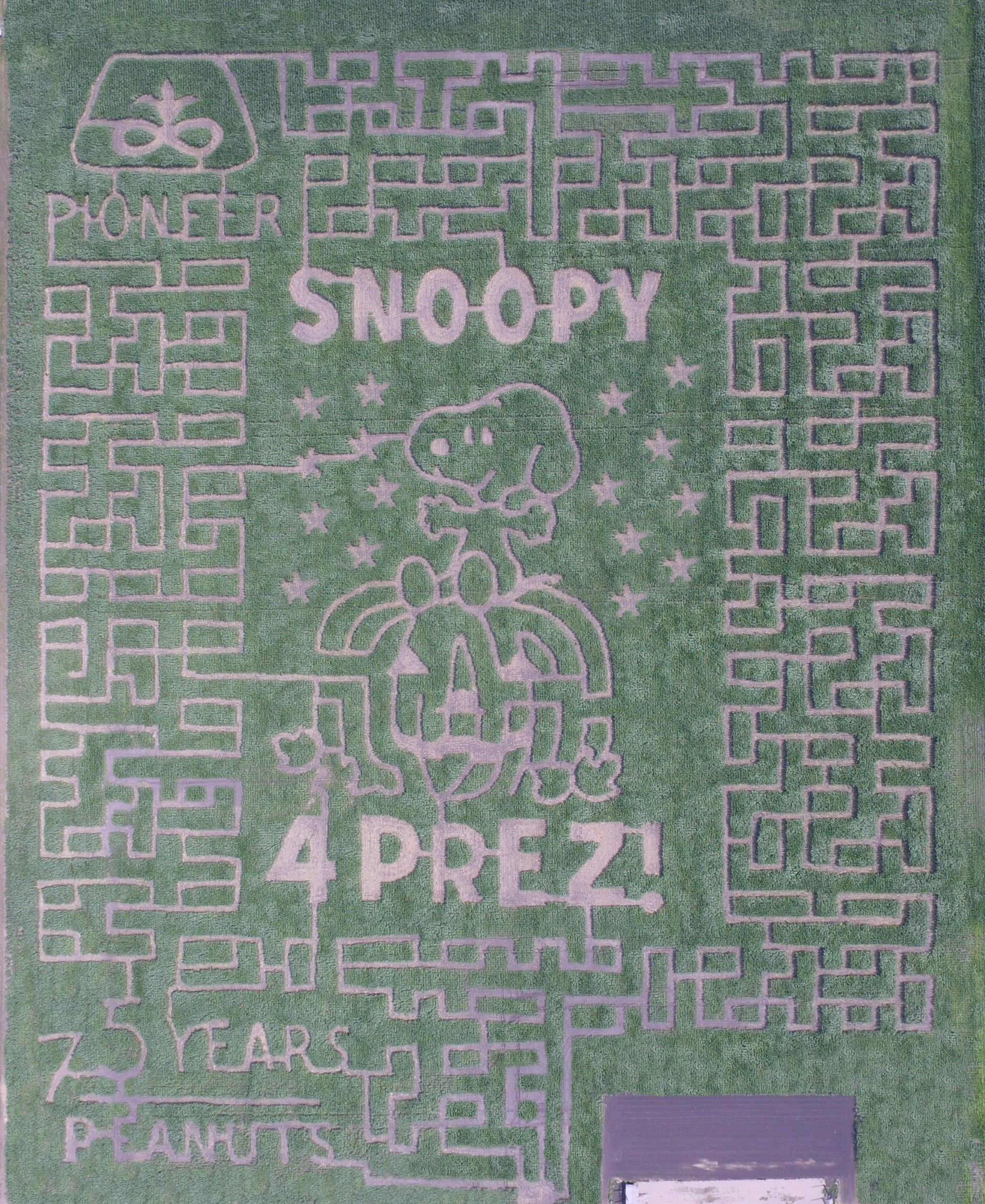 2024 Valley Corn Maize maze map design